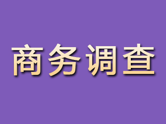 永寿商务调查